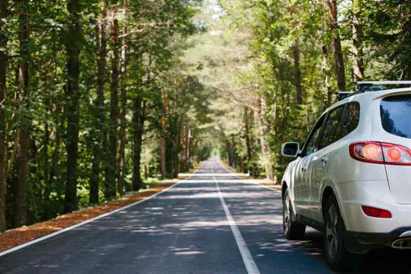 universal roof racks